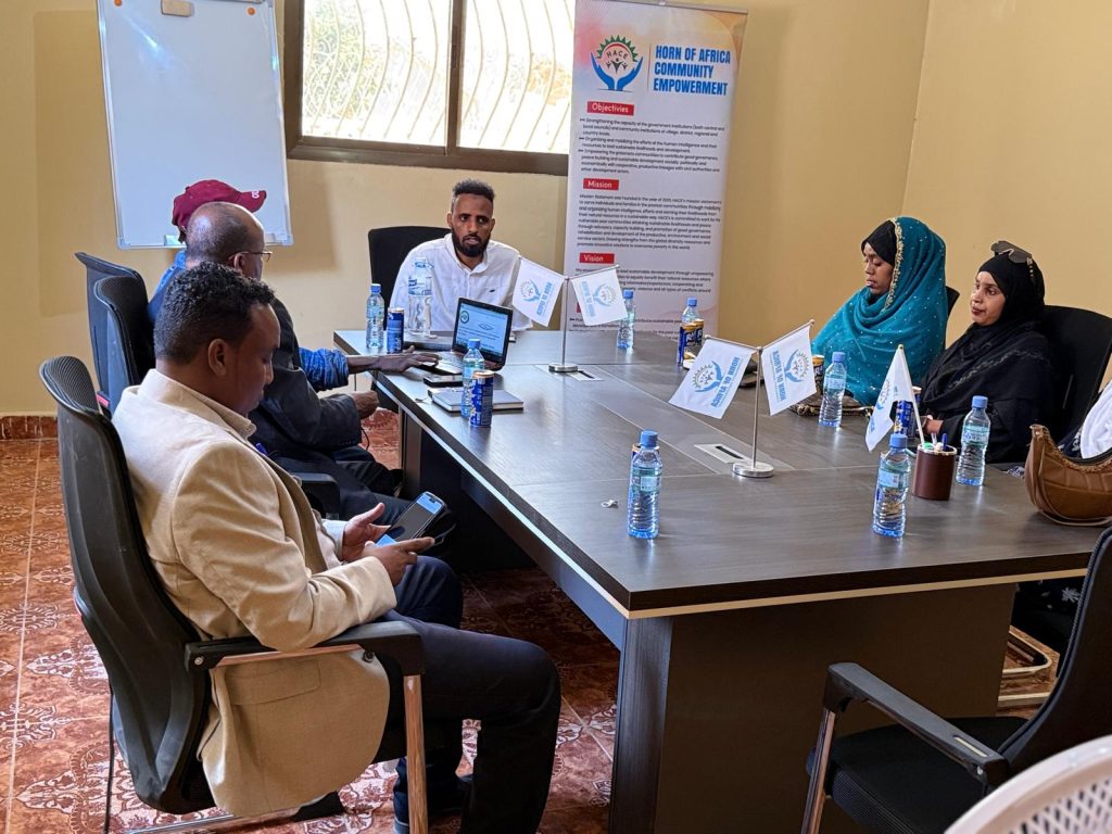 Horn of Africa Community Empowerment Organization (HACE)Board Meeting SummaryDate: 25 April 2025 Horn of Africa Community Empowerment Organization (HACE)Board Meeting SummaryDate: 25 April 2025